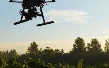 Günde 100,000 Ağaç Diken Drone’lar