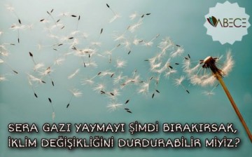 Sera Gazı Yaymayı Şimdi Bırakırsak, İklim Değişikliğini Durdurabilir Miyiz?