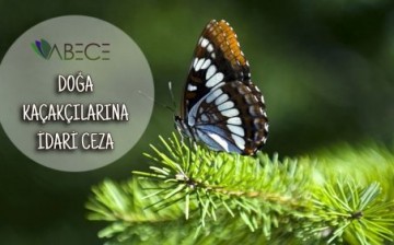 Bu Yıl 3 Milyon 700 Bin İdari Para Cezası Kesildi