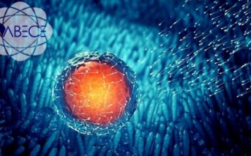 Bilim Dünyasında Bir İlk: İnsan Embriyosunda ‘Kimyasal Ameliyat’