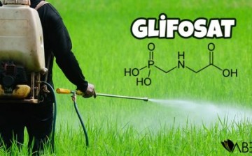 Kimyasal Tarım İlaçlarında Yeniden Hortlayan Bir Kabus: Glifosat