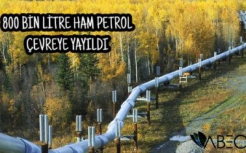 ABD’de Sızıntı, 800 Bin Litre Ham Petrol Çevreye Yayıldı