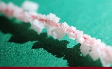Çin’de Masa Tuzunda Plastikten Minik Parçalar Bulundu
