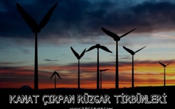Kanat Çırpan Rüzgar Türbini