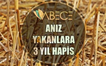 Anız Yakanlara 3 Yıla Kadar Hapis