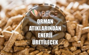 Orman Atıklarından Enerji Üretilecek