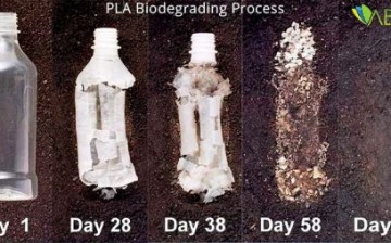 Biyoplastikler Çevre Kirliliğine Çözüm mü?