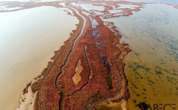 Gediz İstişare Kurulu’ndan Gediz Deltası için Çağrı