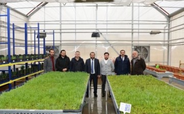 KMÜ, Çevre Düzenlemesi için Kendi Bitkisini Üretiyor