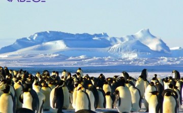 3. Ulusal Antarktika Bilim Seferi’ne Katılan Türk Ekibi Yola Çıktı