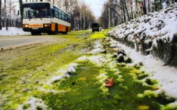 Rusya’da Yeşil Kar Paniği