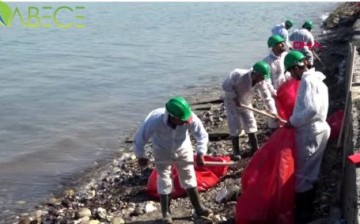 Foça’da Kıyılara Bulaşan Petrol Atığını 50 Kişilik Ekip Temizliyor