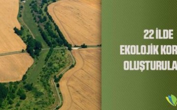 22 İLDE EKOLOJİK KORİDOR OLUŞTURULACAK